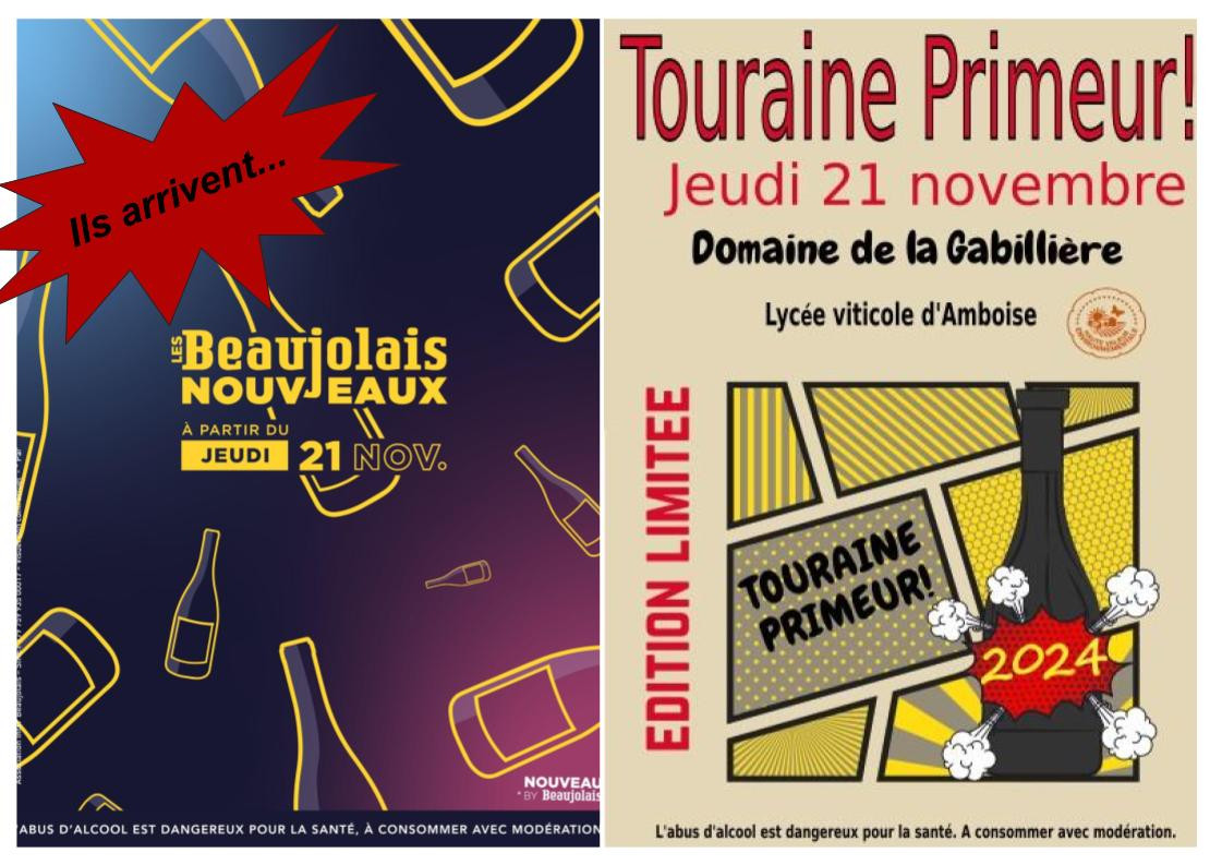 Beaujolais nouveau et Touraine primeur